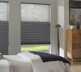 Day And Night Cellular Shades