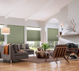 Top-Down Bottom-Up Cellular Shades