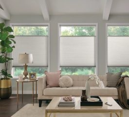 Boise Shade Company - Honeycomb Shades2
