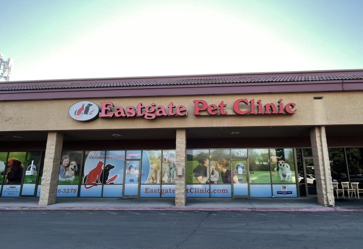 Window Treatments for Eastgate Vet Clinic provided by BOISE SHADE COMPANY.